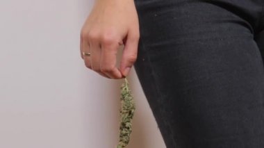 Partide elde esrar, marihuana içmeye hazırlanıyor.