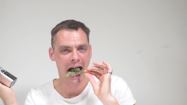 Drogmissbruk, missbrukare äta marijuana växt — Stockvideo