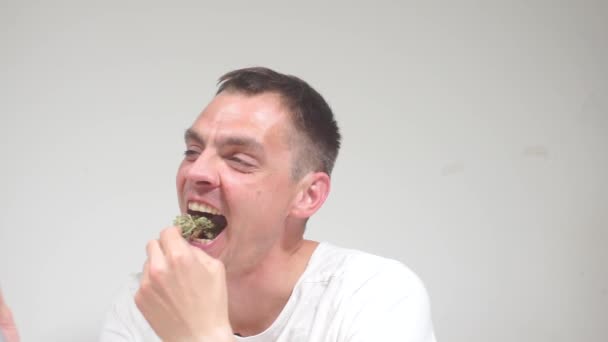 Retrato de un tipo que come un capullo de marihuana y usa un vaporizador para el cannabis — Vídeos de Stock