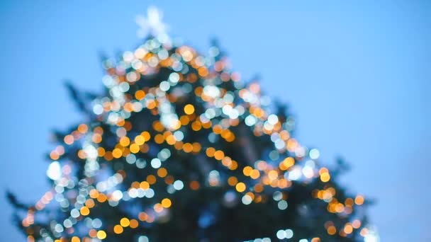 Noel ağacı bokeh etkisi. Yumuşak kamera hareketi. — Stok video