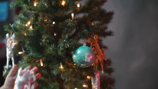 Nahaufnahme eines Jungen, der ein Weihnachtshirsch an einen Weihnachtsbaum kleidet. — Stockvideo