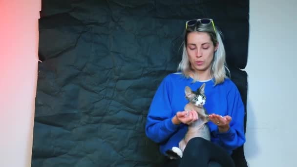 Een meisje in blauwe kleren houdt een Devon Rex kat in haar armen. — Stockvideo