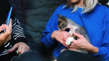 İki kız Devon Rex kedisi için fotoğraf çekimi yapıyor..