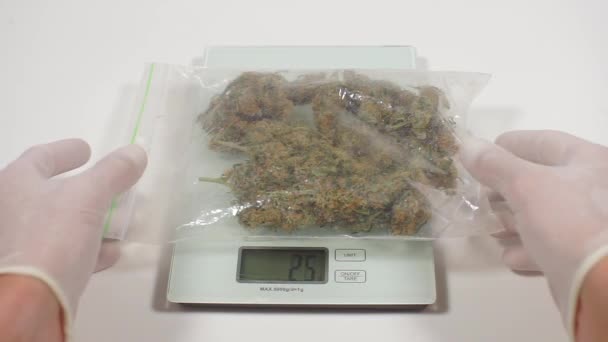 Op de weegschaal ligt een grote zak marihuana — Stockvideo