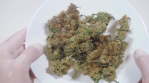 Marihuana medicinal antes de ser consumida por una persona enferma — Vídeos de Stock