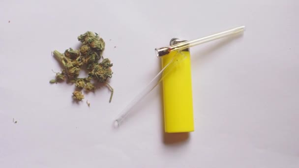 Marihuana und Geräte des Täters sichergestellt — Stockvideo