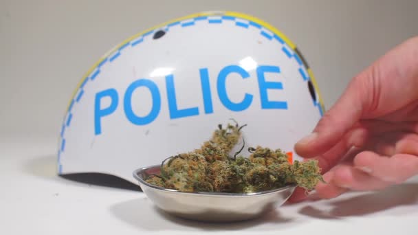 Cannabis aus nächster Nähe auf einem Schild mit der Aufschrift Polizei — Stockvideo