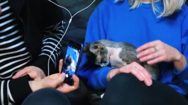 Bir partide kedisi olan iki kız. Kızlar akıllı telefondan fotoğraf çeker..
