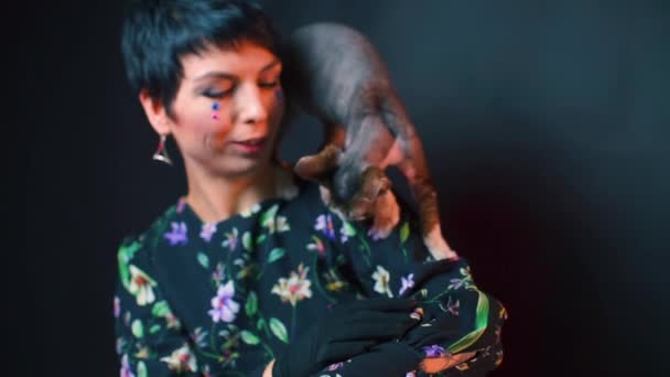 Closeup of a beautiful girl in a dress with a cat sitting on her shoulder. — Stock Video