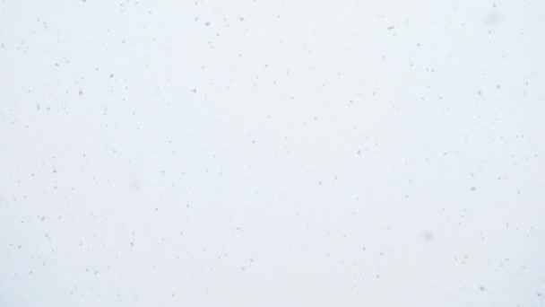 Närbild av fallande snöflingor från himlen. — Stockvideo