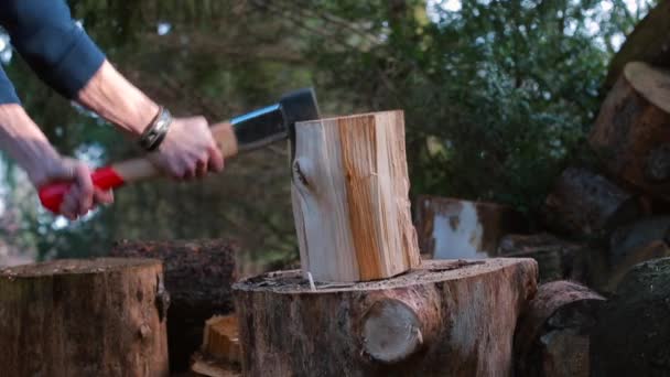 Un hombre apuñala un tronco de madera con un hacha en un bloque . — Vídeos de Stock