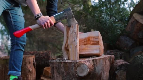 Il boscaiolo ha tagliato un'ascia con un tronco di legno durante il taglio . — Video Stock