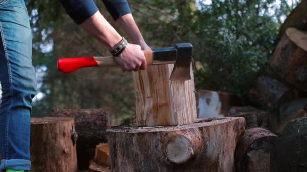 A lumberjack makes light hits on a wooden block with an ax. — Stock Video