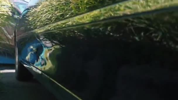 Bir arabanın siyah boyasında yeşil çimlerin yansıması — Stok video