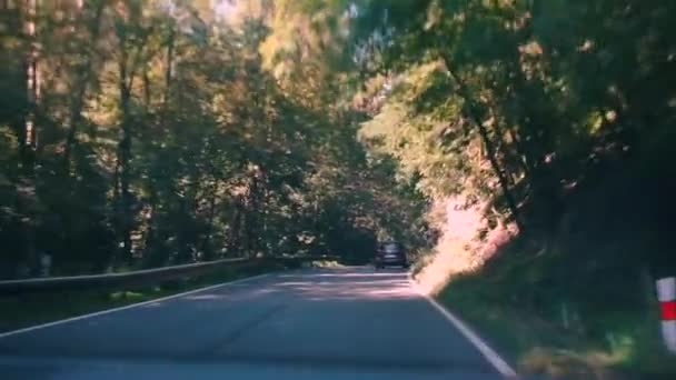 Movimiento de coches en una carretera de montaña en el bosque — Vídeos de Stock