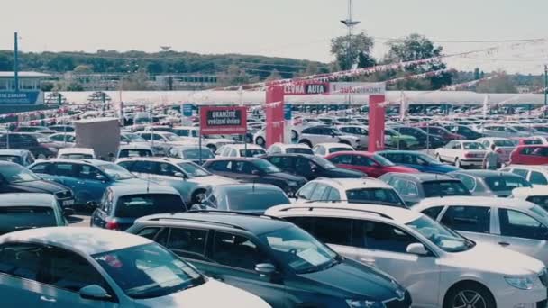 Wiele zaparkowanych samochodów w salonie samochodowym parking — Wideo stockowe