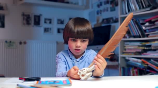 Ребенок играет с птичьим перышком и животной костью — стоковое видео