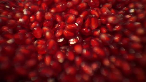 Pomegranate seeds closeup — Stock Video