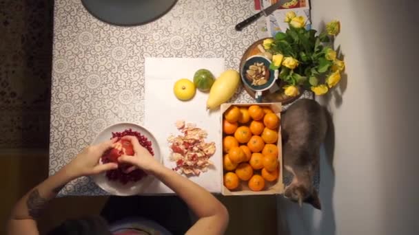 Granatapfel im Teller putzen, eine Katze geht daneben, Mandarinen liegen — Stockvideo