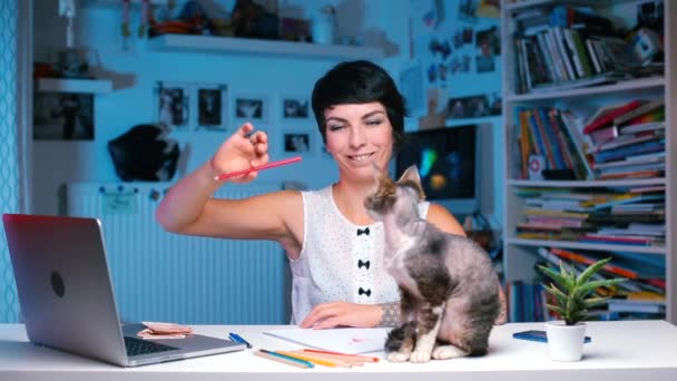 La ragazza viene giocata con una matita e con un gatto a un tavolo in ufficio. — Video Stock