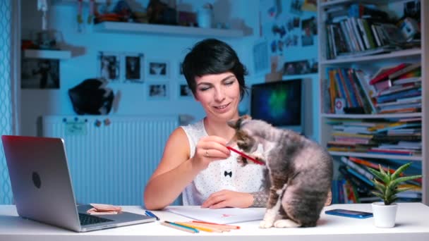 Masada oturan kız Devon Rex Cat 'le oynuyor. — Stok video