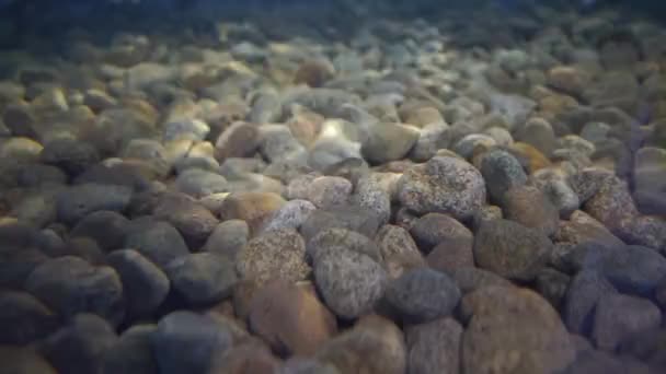 Багато каменів, що лежать на пляшці під водою — стокове відео