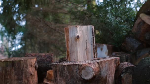 Чоловік готується до руйнування дерев'яного колоди сокирою . — стокове відео