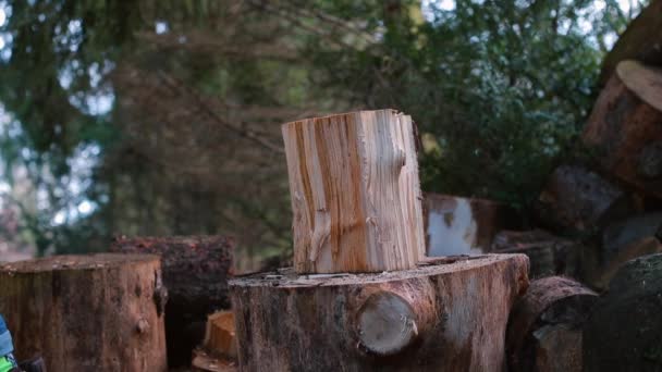 Un hombre conduce un hacha con un fuerte golpe en un tronco de madera . — Vídeos de Stock