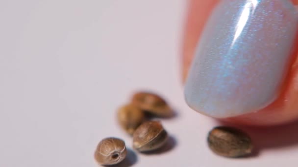 Gros plan des graines de cannabis médical .