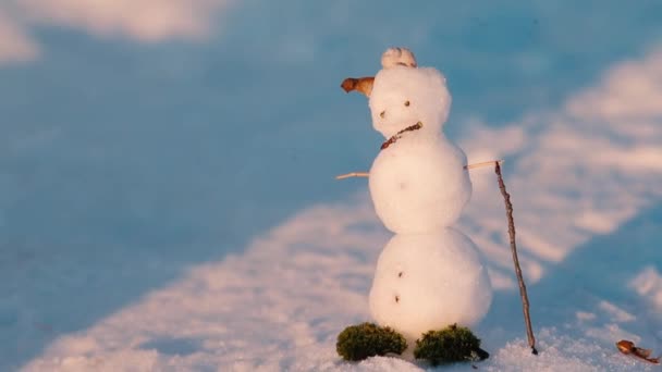 Little snowman made of snow balls of branches and moss. — Stock Video