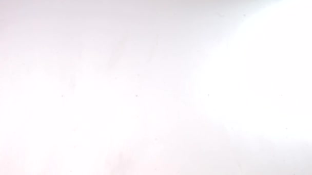 Le mot LGBT sur la paume de la main d'un homme sur fond blanc .