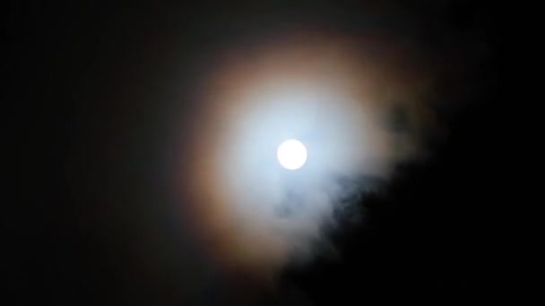 Close-up van de beweging van wolken van de nachtmaan. — Stockvideo