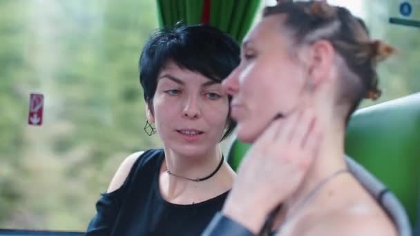 Dos parejas del mismo sexo viajan en un autobús turístico . — Vídeo de stock
