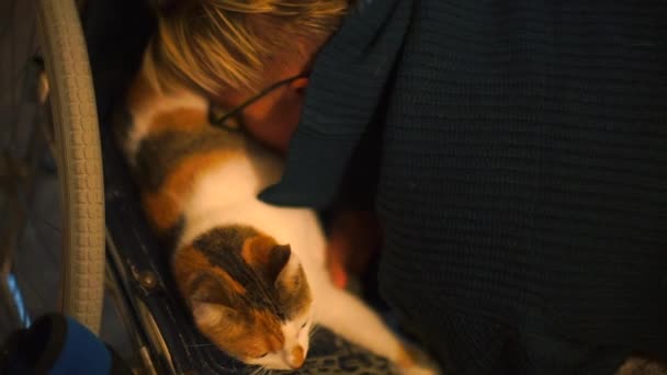 Close-up van een gehandicapte vrouw kust een kat — Stockvideo