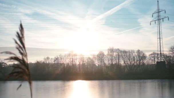 Winterlandschap. Op de voorgrond een grassprietje. — Stockvideo