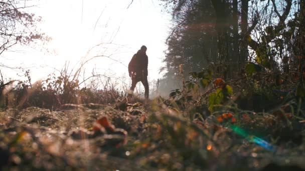 Bir adam şehir parkının ormanlarında yürüyor.. — Stok video