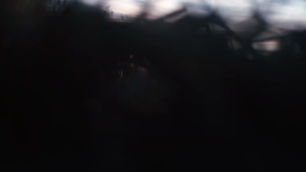 Utsikt över gryningen solen bakom träden. — Stockvideo