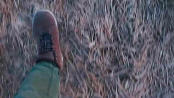 Voeten reiziger in de winter laarzen lopen op droog bevroren gras. — Stockvideo