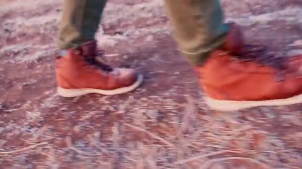 Detailní záběr na nohy cestovatele v botách kráčejících po zemi — Stock video