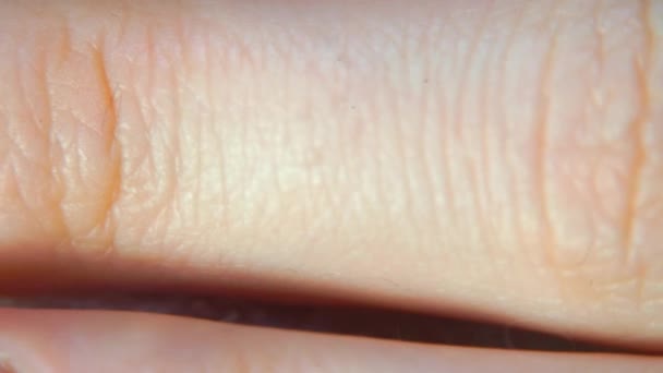 Close-up van een falanx van een vrouw vinger — Stockvideo