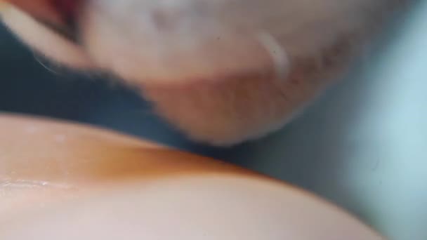 Gros plan de la langue du chat lèche la paume à la femme. Un chat lèche la peau d'une personne .