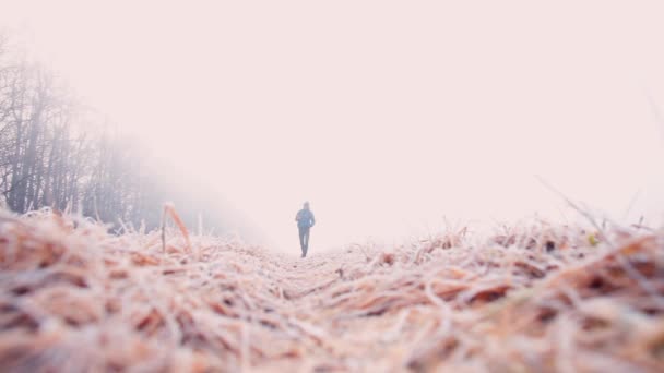 A man walks through a frozen field in search of a dog. — Stock Video