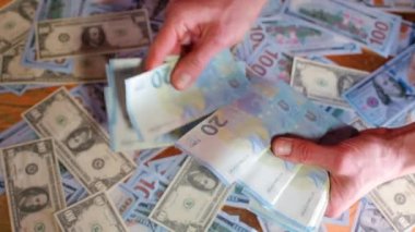 Bir işadamı 20 avroluk banknot sayıyor