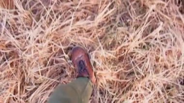 Şehir parkında bir adam yürüyordu.. 