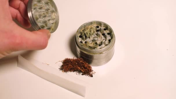 Een man maakt joint van medicinale marihuana op een feestje. — Stockvideo