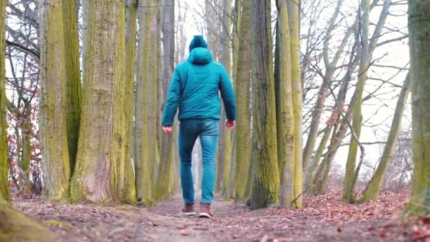 Egy utazó sétál az erdőben egy úton. közeli magas fák. — Stock videók