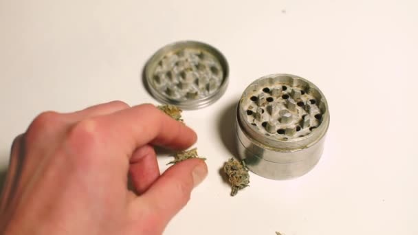 Kupiec wkłada marihuanę do szlifierki, żeby przygotować się do palenia. Zbliżenie. — Wideo stockowe
