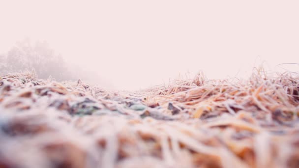 Ein Reisender in Stiefeln macht Schritte auf trockenem gefrorenem Gras bei braunem Wetter. — Stockvideo