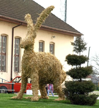 Strows tavşanına da güneşli bir bahar günü kentin