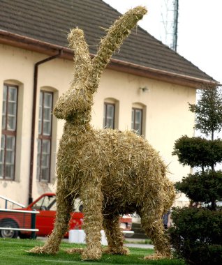 Strows tavşanına da güneşli bir bahar günü kentin